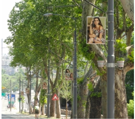 Beograd - Banderašice - CV Bulevar oslobođenja